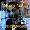 Muddy Waters - Feel Like Going Home