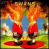 Swans - Love Of Life