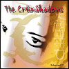 The Cruxshadows - Paradox Addendum