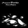Mauro Picotto - The Others