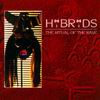 Hybrids - The Ritual Of The Rave