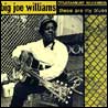 Big Joe Williams - These Are My Blues