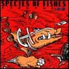 Species Of Fishes - Trip Trap