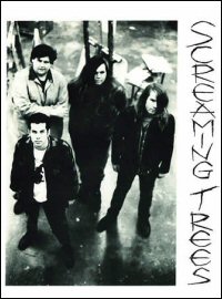 Screaming Trees MP3 DOWNLOAD MUSIC DOWNLOAD FREE DOWNLOAD FREE MP3 DOWLOAD SONG DOWNLOAD Screaming Trees 